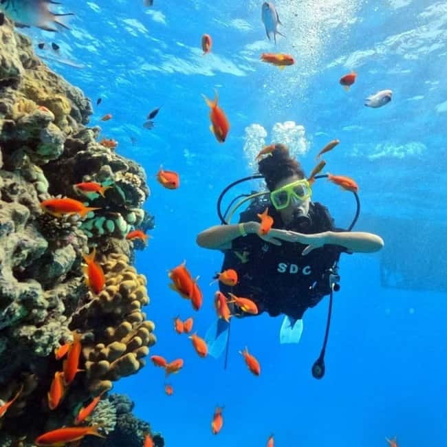 Fethiye: Fly and Dive, Paragliding and Scuba Diving Combined, Transfer Included - Two major Fethiye adventures in one day