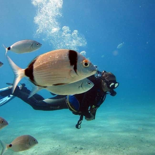 Fethiye: Fly and Dive, Paragliding and Scuba Diving Combined, Transfer Included - Starting from Fethiye or Ölüdeniz