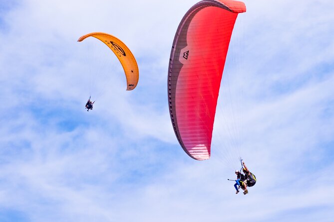 FlyTenerife Paragliding Flight - Key points to know before you book