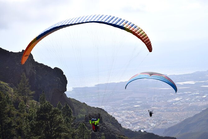 FlyTenerife Paragliding Flight - Landing is the one part to clarify