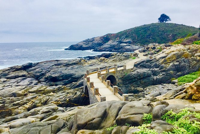 Fr STGO: WILD PENGUINS, SEALION, SANDBOARD, PARAGLIDING & PICNIC - Santiago, Valparaiso, and a flexible route