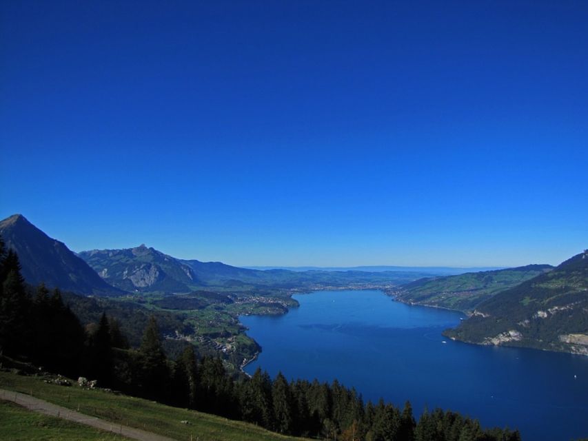 From Geneva: Paragliding and Interlaken Trip - From Geneva to the Alps in one long day