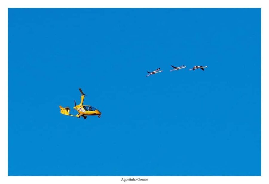 From Monte Gordo: Algarve Private Scenic Gyrocopter Flight - Why the one-passenger format matters