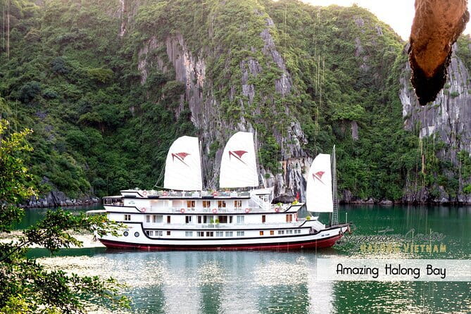 Ha Long Sky Tour: Powered Paragliding - Who Will Enjoy This Ride Most