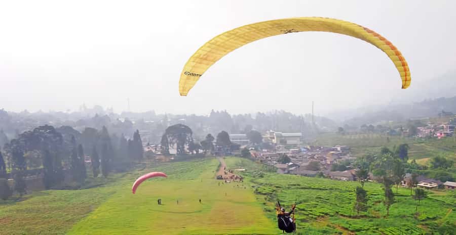 Jakarta: Paragliding on Top Mountain & Tea Plantation - Flying over Puncak instead of merely looking at it