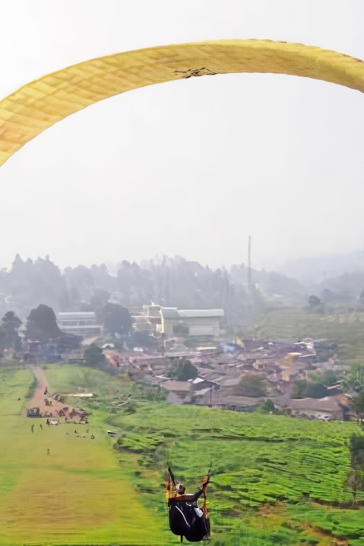 Jakarta: Paragliding on Top Mountain & Tea Plantation - Gunung Mas and the tea plantation view