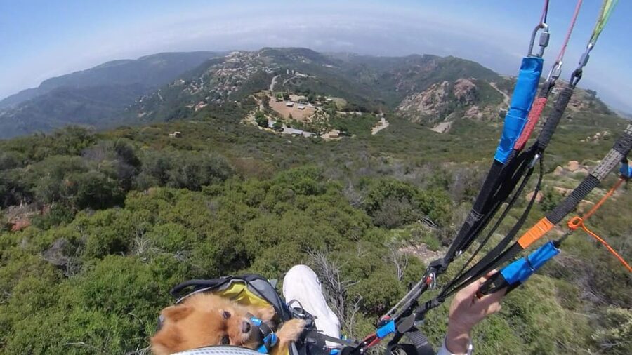 Malibu Hills to Beach: Tandem Paragliding Flight Adventure - A soft-sand landing on Malibu Beach