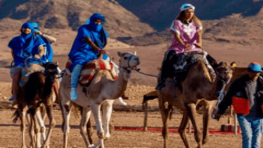 Marrakech Adventure: Paragliding, Camel Ride & Breakfast - Why this Marrakech day trip works