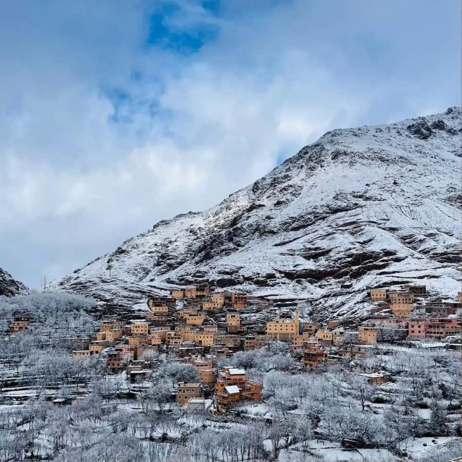 Marrakech: Paragliding, Camel Ride & Berber Villages Trip - The argan oil cooperative and Berber breakfast