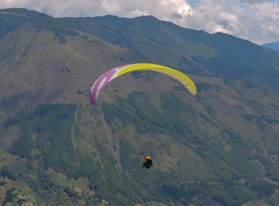 Paragliding Experience - Key points to know before booking