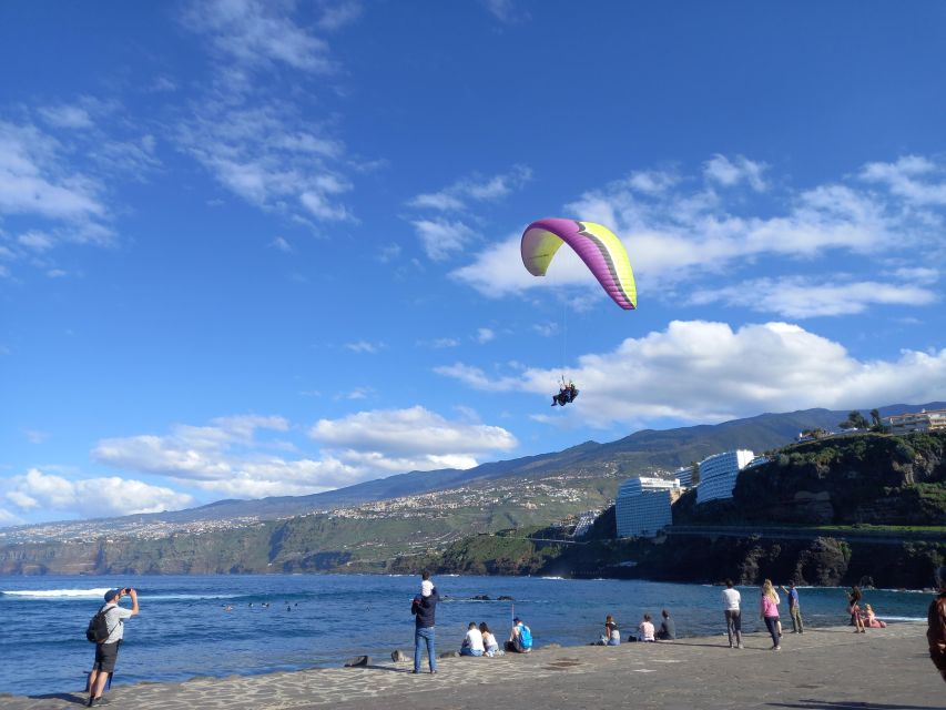 Paragliding from Puerto de la Cruz or Teide National park - Key points to know before booking