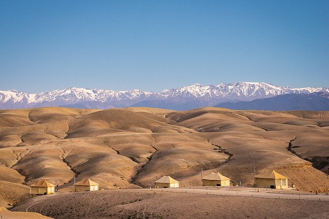 paragliding in Agafay Desert with Camel Ride - Practical points before you book