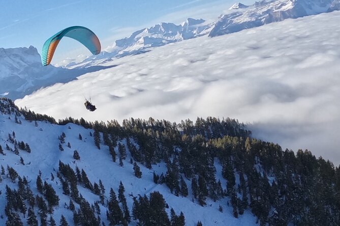 Private Paragliding Tandem flight Dolomites Alps Kronplatz - Landing back at the starting point