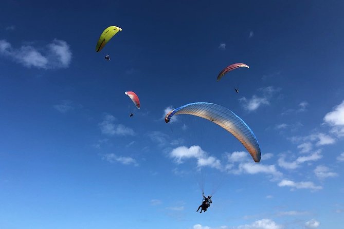 Private Tandem Paragliding Flight in Bizkaia - Flying above the Basque coast near Sopelana