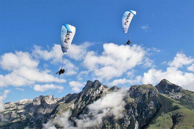 Private Tandem Paragliding Werfenweng Mt Bischling - The landing and the short walk back
