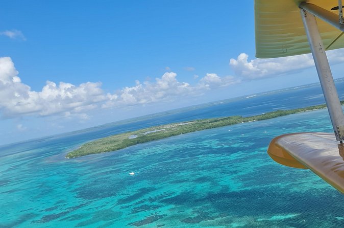 Private Ultralight Seaplane Experience in Guadeloupe - Is the optional islet landing worth considering?