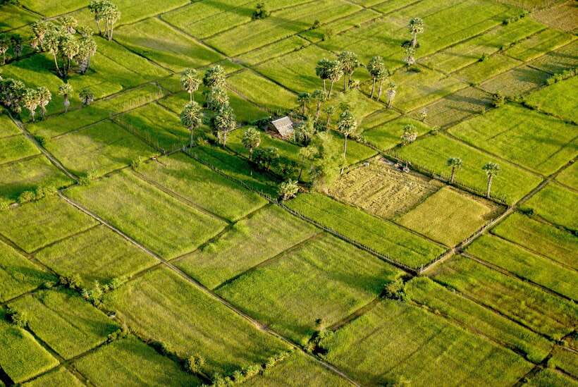 Sky Venture Microlight Siem Reap - Seeing Angkor from a small aircraft