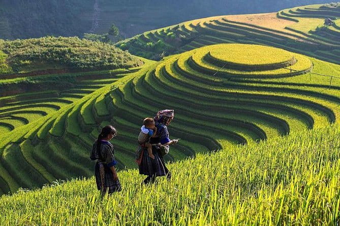 Tandem Paragliding Experience in Hanoi - GoPro footage and the value of the package