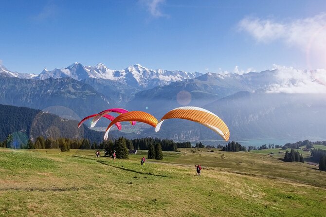 Tandem Paragliding Experience with Transport from Interlaken - The pilots make a real difference