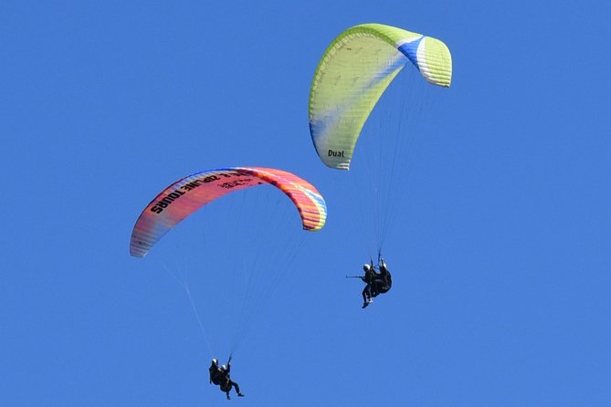 Tandem Paragliding Flights from Vik - Final call: book it only with a flexible schedule