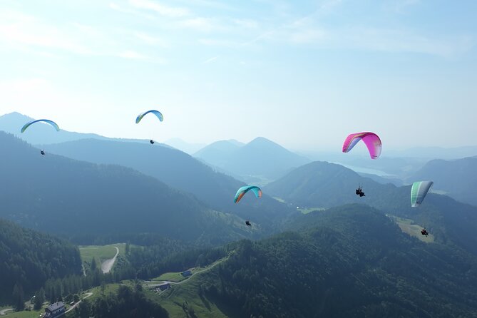 Tandem Paragliding St. Gilgen - Wolfgangsee - Price and what you receive