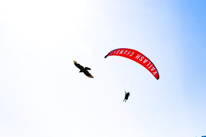Two-seater paragliding flight in Chamonix - Photos, video, and extra costs