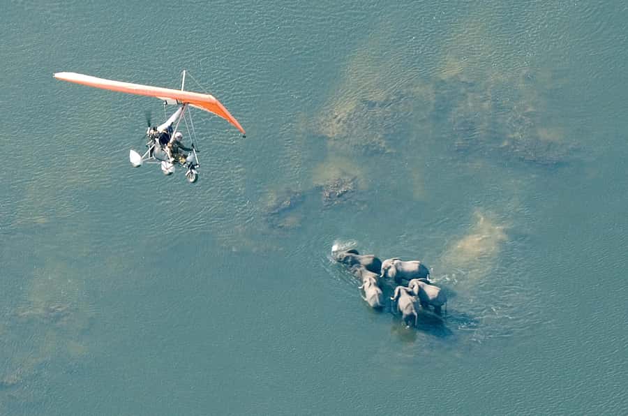 Victoria Falls: Scenic Microlight Flight - Circling the Falls and Batoka Gorge